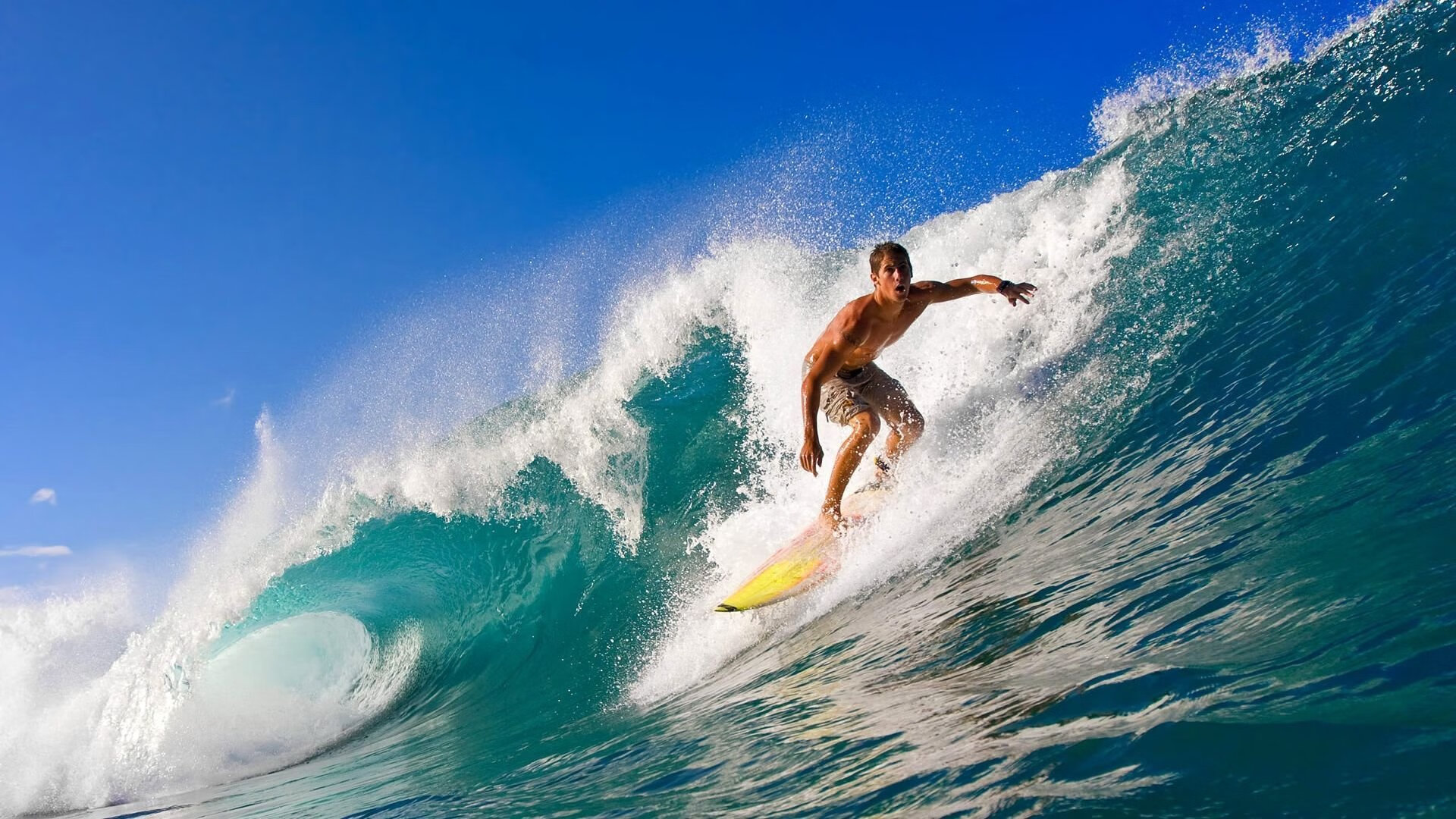 AYX GAME-伊朗骑手阿里·巴赫蒂亚里在巴黎奥运会上首次亮相，尽管未能晋级，但表现积极。