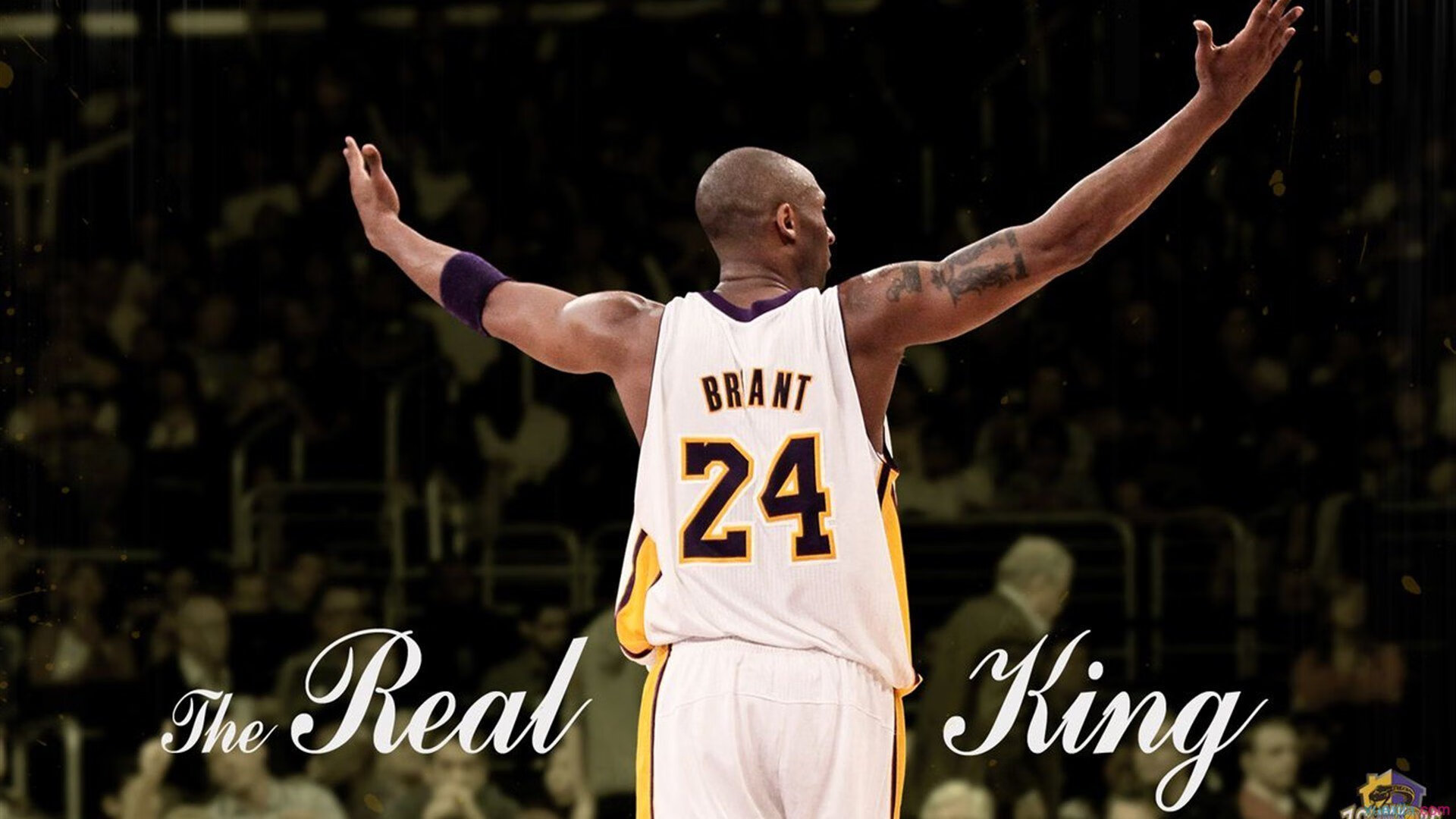 “球员的趣味爱好：场外明星的精彩故事”，球迷明星